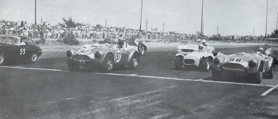 Dave MacDonald in Shelby Cobra CSX2136 1963 Hawaiian GP